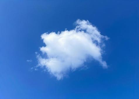 ぽっかり浮かんでいる雲_711D 雲,空,青空の写真素材