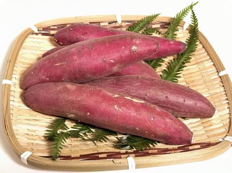 さつまいも さつまいも,芋,食べ物の写真素材