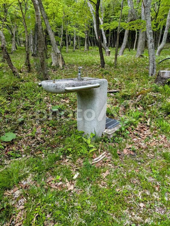 森の中のオアシス 水道,飲み水,森林浴の写真素材