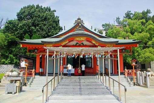 夏の神社 夏の神社 神社,拝殿,本殿の写真素材
