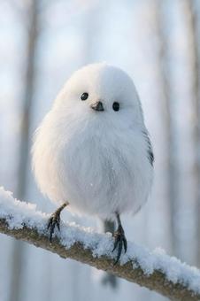 雪山の木に止まるシマエナガ 雪山の木に止まるシマエナガの写真