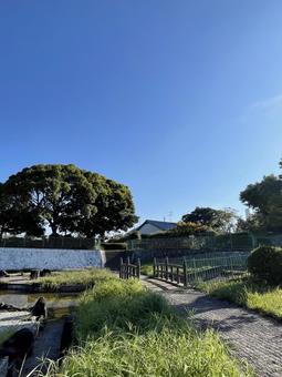 朝の公園 秋,空,高いの写真素材