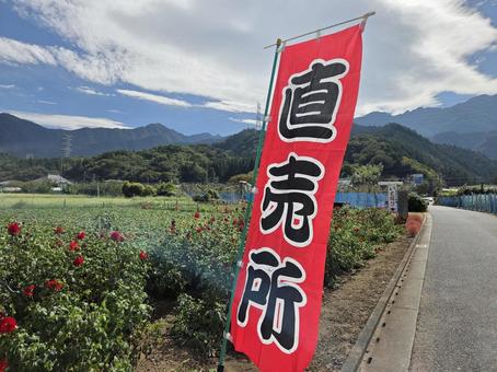 直売所 直売所 直売所,のほり旗,ダリアの写真素材