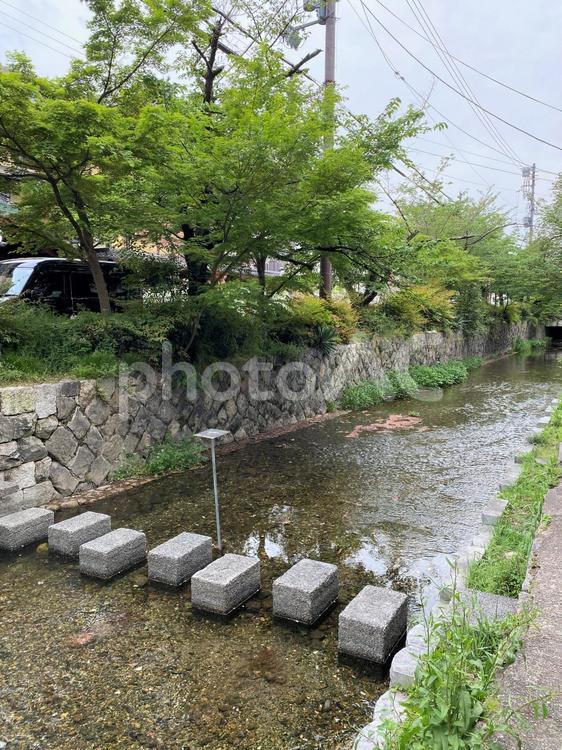 京都・高瀬川の情景 京都,高瀬川,川の写真素材