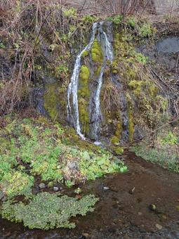 フンベの滝 自然,風景,木の写真素材
