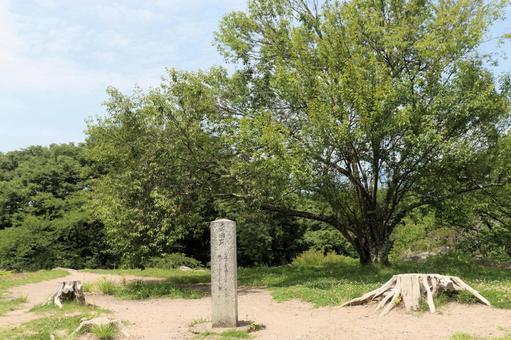 日本百名城、小諸城跡の天守閣跡、長野県 日本百名城、小諸城跡の天守閣跡、長野県 懐古神社,小諸城,長野県の写真素材