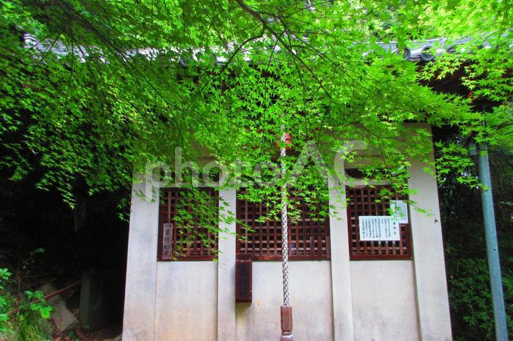 大阪府-水間寺-薬師堂 水間寺,寺,龍谷山の写真素材