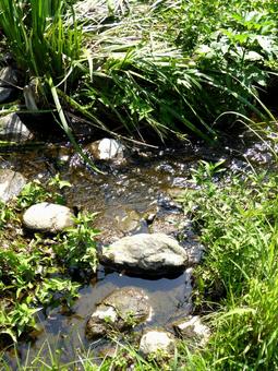 7月、郊外で草むらの間を流れる小川 川,河川,水の写真素材