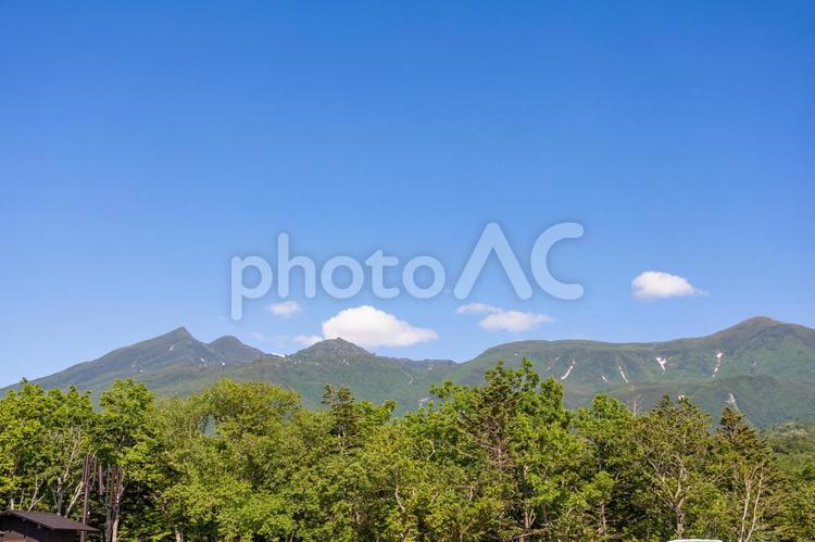 知床高架木道から見た霧が出てきた知床連山 霧,立ちこむ,青空の写真素材