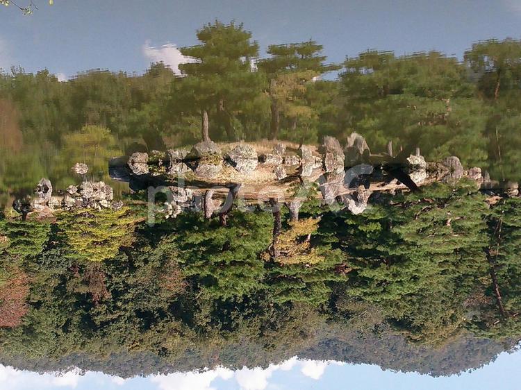 サカサマの池(金閣寺) 金閣寺,池,京都の写真素材