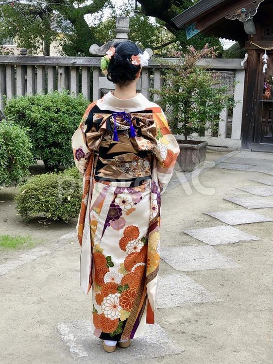 振り袖　後ろ姿 成人式,振り袖,着物の写真素材