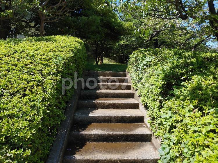 公園の階段 階段,公園,上りの写真素材