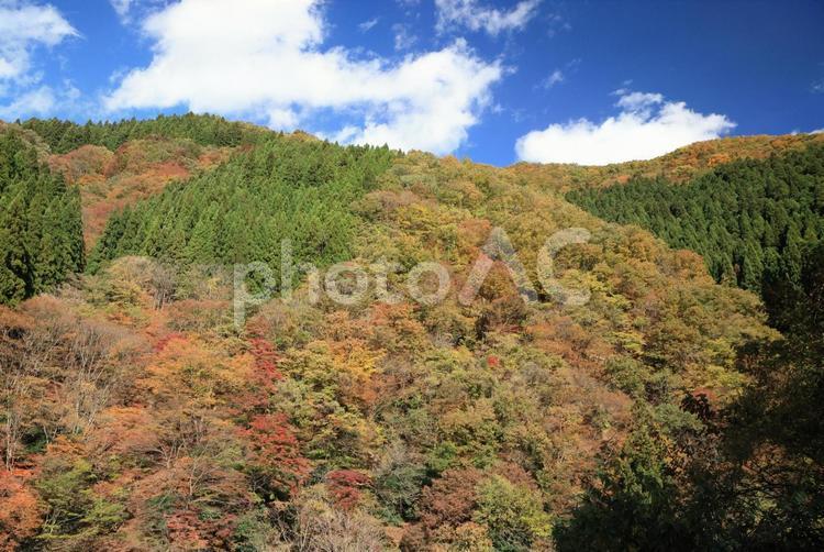 秋模様 紅葉,山,秋の写真素材