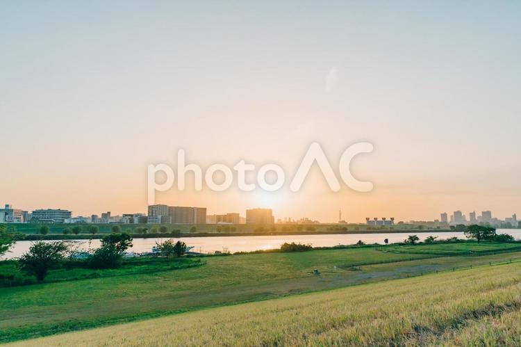 夕方の荒川河川敷 夕焼け,夕空,夕日の写真素材