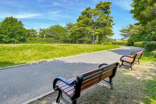 緑の公園と初夏の日差しを浴びるベンチ 緑の公園と初夏の日差しを浴びるベンチ ベンチ,爽やか,休憩の写真素材