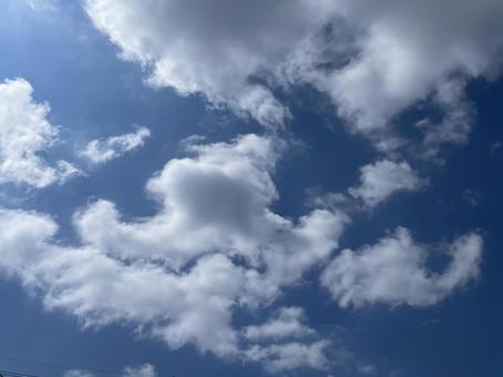 空に雲 空に雲の写真