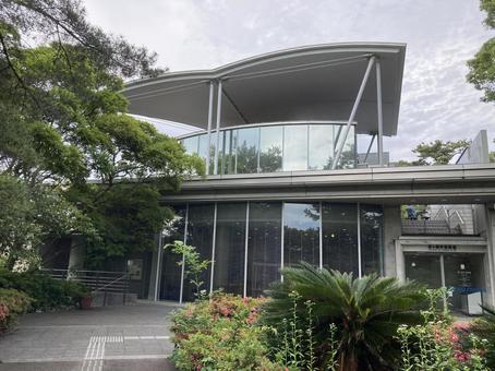 茅ヶ崎市美術館 茅ヶ崎市美術館の写真