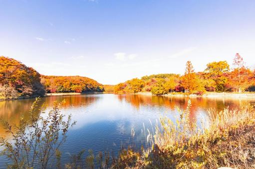 鮮やかな紅葉が広がる湖 鮮やかな紅葉が広がる湖の写真
