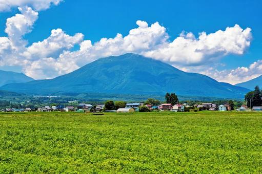 天翔ける雲と夏の風渡る緑の絨毯 天翔ける雲と夏の風渡る緑の絨毯 夏,田舎,畑の写真素材