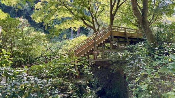 橋 橋 明月院,寺社仏閣,神奈川の写真素材