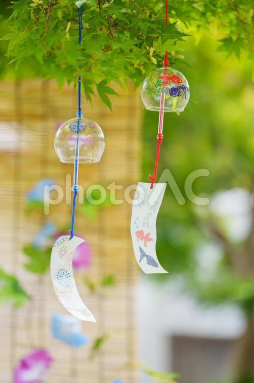 木陰で揺れる風鈴とすだれに朝顔の花 風鈴,夏,青もみじの写真素材