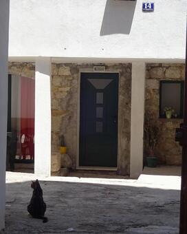 クロアチア　おしゃれな通路と猫 クロアチア,ドゥブロヴニク,猫の写真素材