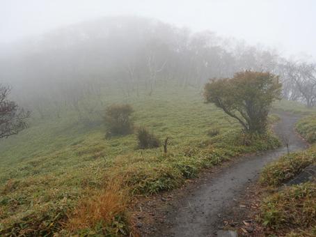 赤城山　黒檜山　登山道の写真