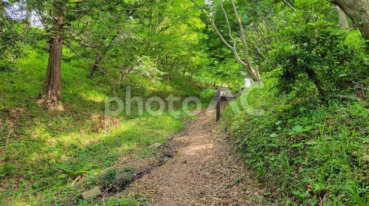 山の散歩道　木漏れ日 山,散歩道,斜面の写真素材