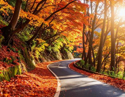 日本の秋、風情ある紅葉風景 日本の秋、風情ある紅葉風景の写真