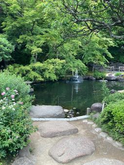 長谷寺の池 長谷寺の池 池,長谷寺,自然の写真素材