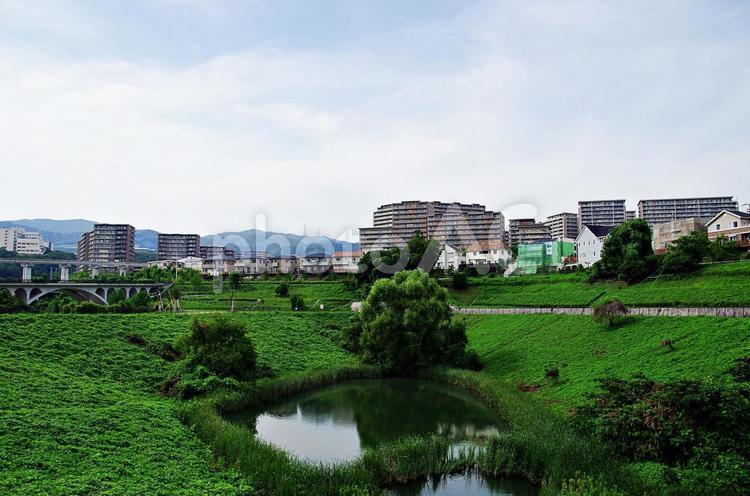 ニュータウンと池のある緑地 川合裏川緑地,池,彩都の写真素材