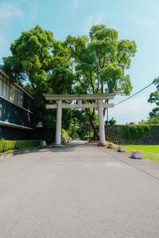 Photo, wakayama, wakayama city, 2025, 