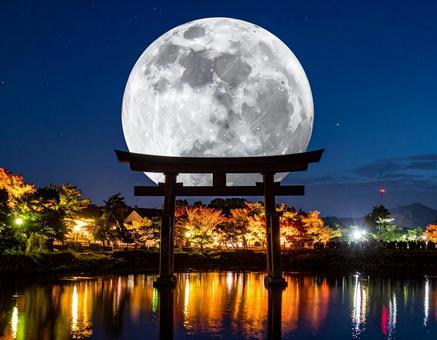 中秋の名月 中秋の名月の写真