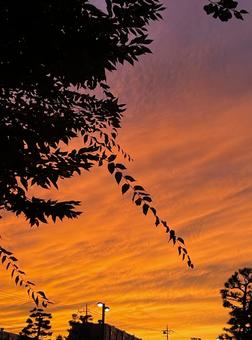 137_茜空、燃ゆ 夕焼け,空,燃えるの写真素材