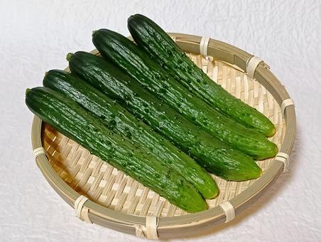 きゅうり きゅうり きゅうり,キュウリ,野菜の写真素材