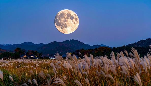 十五夜 十五夜の写真