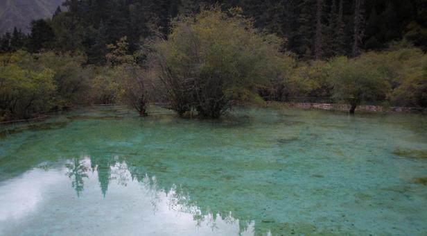 新疆地区エメラルド色の池と木々の映り込み 新疆地区エメラルド色の池と木々の映り込みの写真