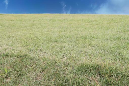 青空と草原 空,草原,くもの写真素材