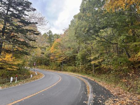 秋の訪れ25 もみじ,紅葉,落ち葉の写真素材