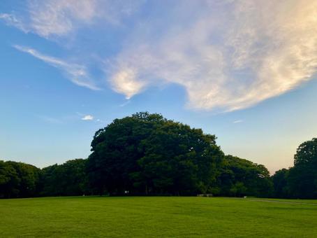 砧公園の夕暮れ風景 東京都世田谷区 砧公園の夕暮れ風景 東京都世田谷区 公園,砧公園,夕暮れの写真素材