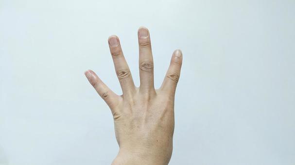 左手で四のサインをしている手素材 左手で四のサインをしている手素材の写真