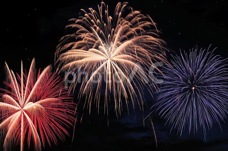 常滑市の夜空を飾るカラフルな打上げ花火 花火,夏,打上げ花火の写真素材