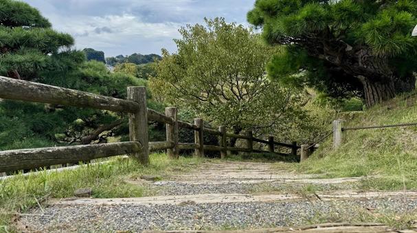 階段 階段 偕楽園,庭園,庭の写真素材