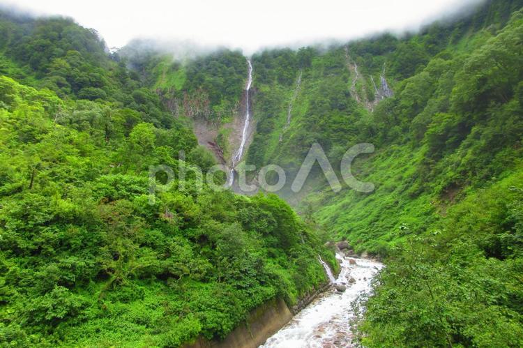 富山県-ハンノキ滝と称名川 ハンノキ滝,滝,幻の滝の写真素材