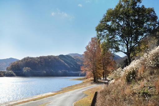 土師ダムの秋 広島県,北広島市,土師ダムの写真素材