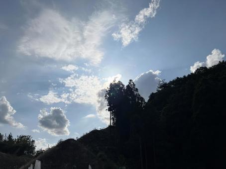 mountain forest-3 mountain forest-3 山,木,林の写真素材