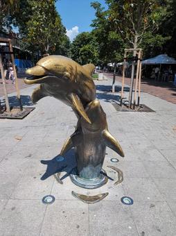 Dolphin, JPG Dolphin, JPG
