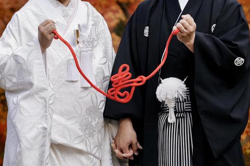 寿 寿 結婚,結婚式,和装の写真素材