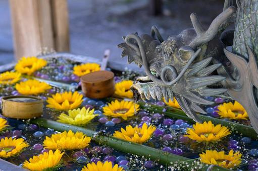 夏の柳谷観音の花手水 夏の柳谷観音の花手水の写真