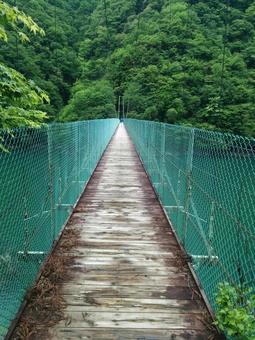 吊り橋の写真